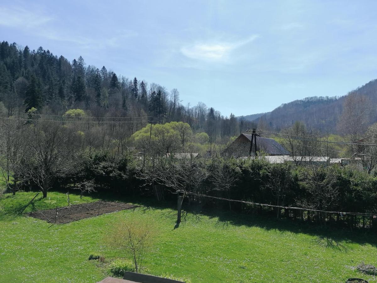 Agroturystyka Pod Kasztanem Lutowiska Bagian luar foto