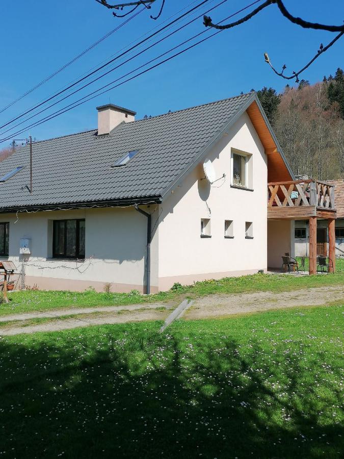 Agroturystyka Pod Kasztanem Lutowiska Bagian luar foto